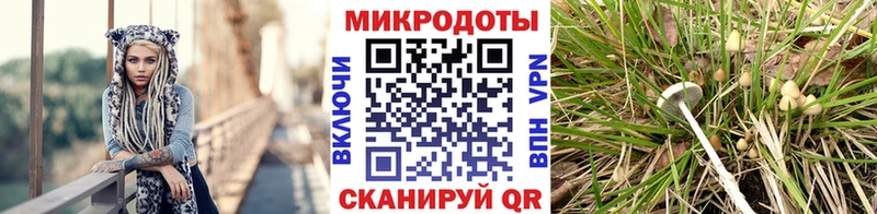 Псилоцибиновые грибы Magic Shrooms  Курильск 